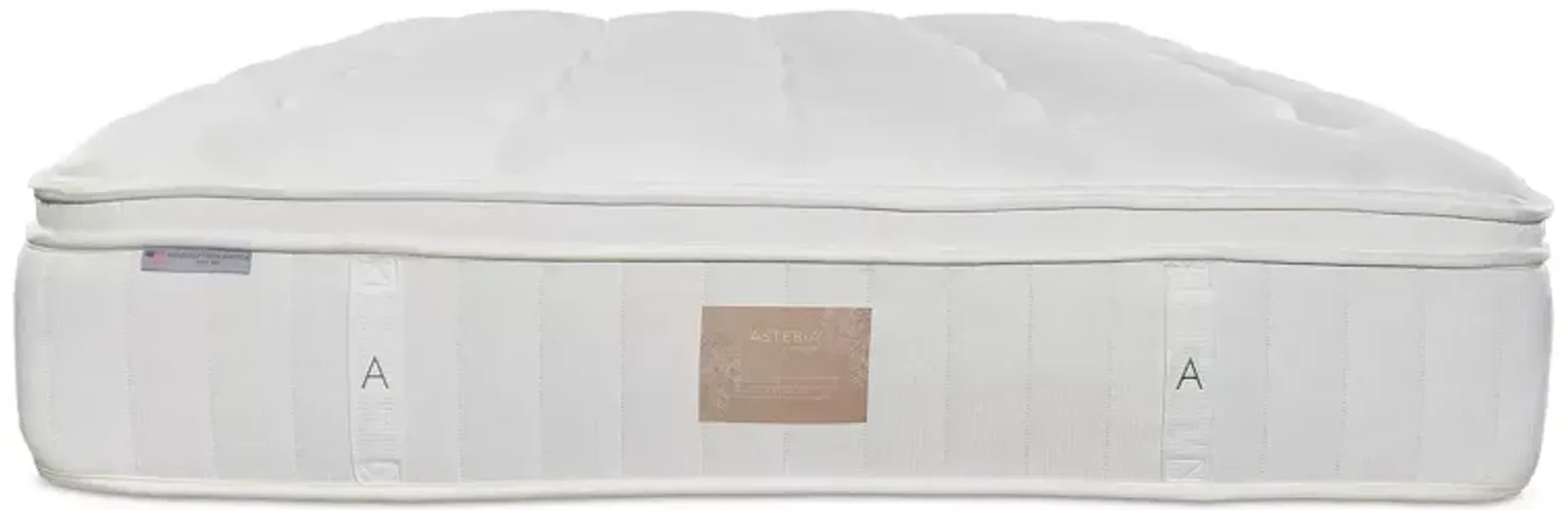 Asteria Natural Phoebe Plush Euro Top Full Mattress with 9" Box Spring - Exclusive