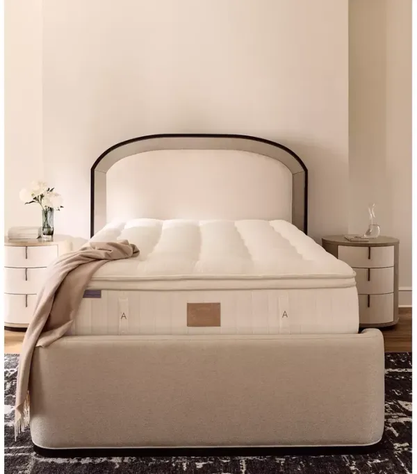 Asteria Phoebe Plush Euro Top Twin Mattress with 5" Box Spring - Exclusive