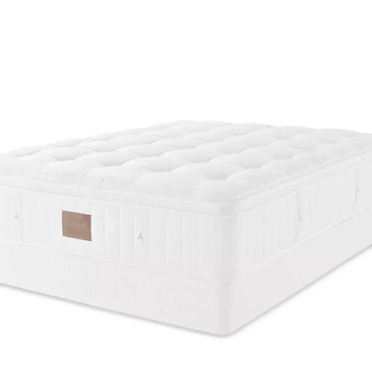 Asteria Phoebe Plush Euro Top Queen Mattress with 5" Box Spring - Exclusive