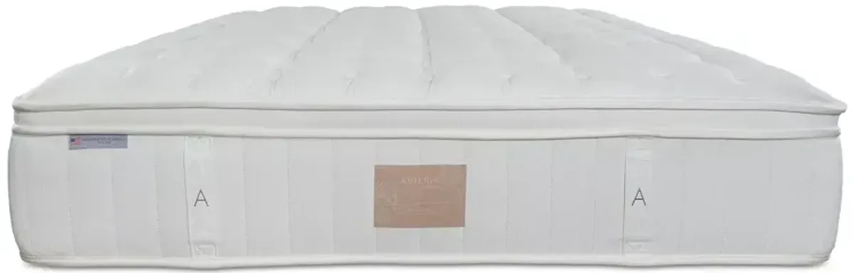 Asteria Phoebe Firm Euro Top Twin Mattress with 9" Box Spring