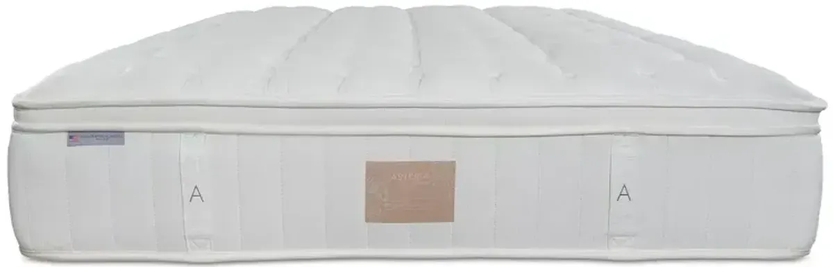 Asteria Phoebe Firm Euro Top Twin Mattress with 9" Box Spring