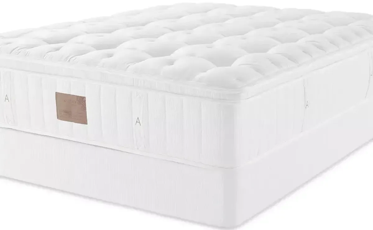 Asteria Phoebe Firm Euro Top Queen Mattress with 9" Box Spring