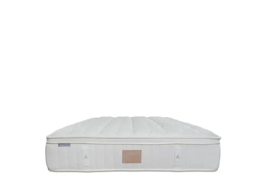 Asteria Phoebe Firm Euro Top Queen Mattress with 9" Box Spring