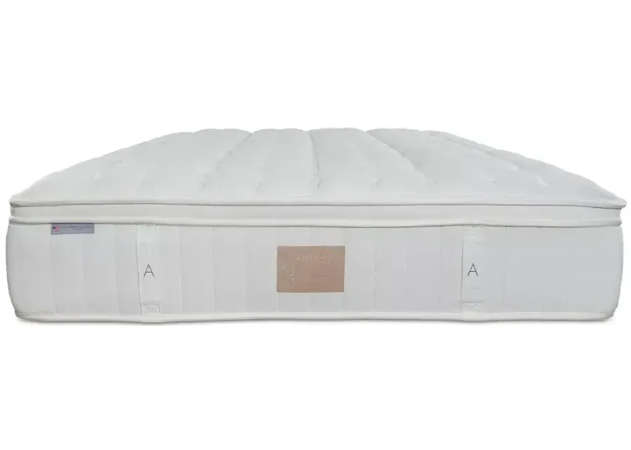 Asteria Phoebe Firm Euro Top King Mattress with 5" Box Spring