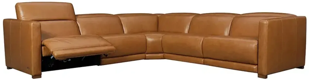 Violino Bobby 5 Piece Motion Reclining Leather Sectional 
