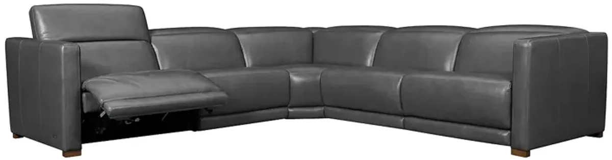 Violino Bobby 5 Piece Leather Sectional 