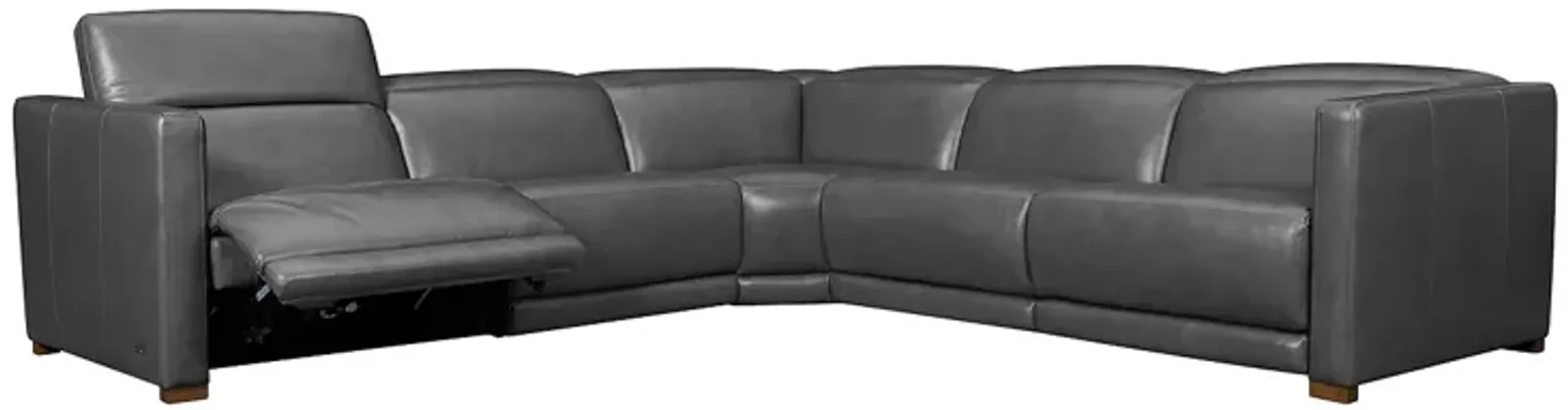 Violino Bobby 5 Piece Leather Sectional 