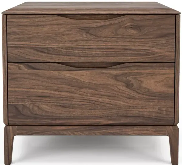 Huppé River 2 Drawer Nightstand