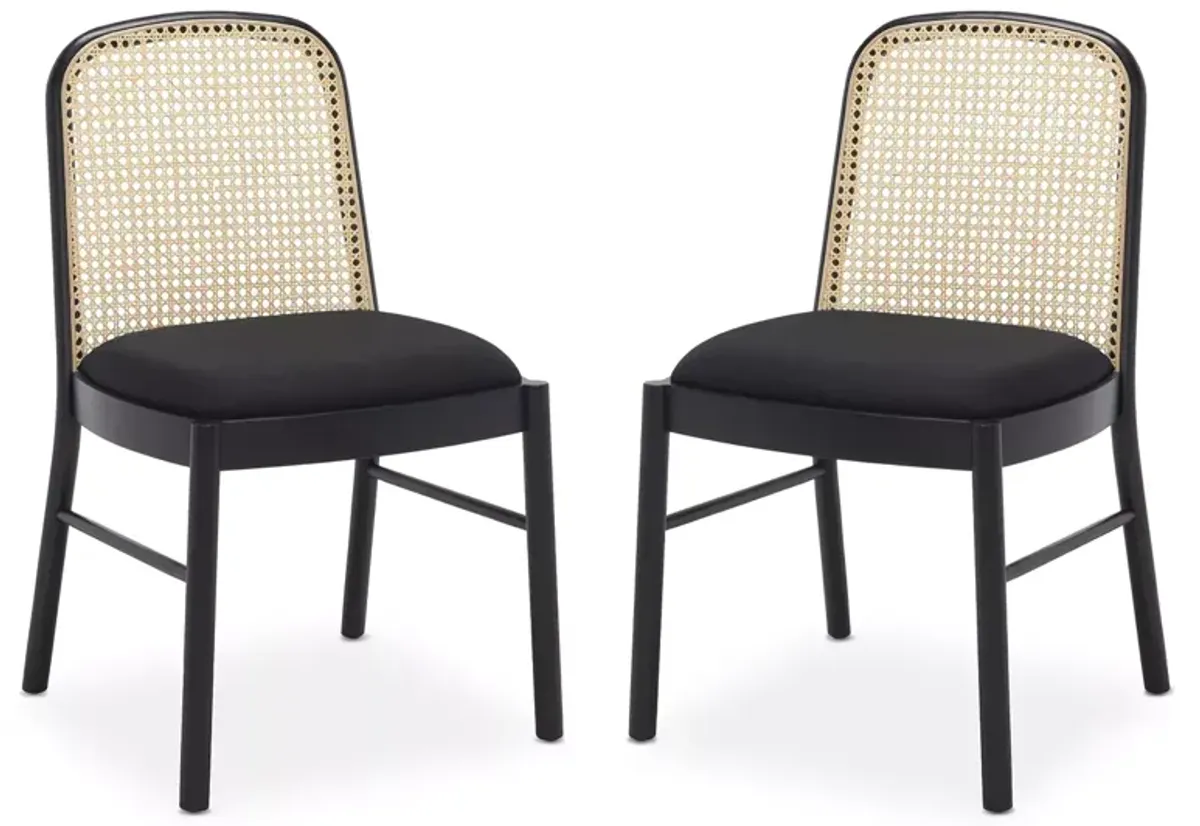 Safavieh Annmarie Rattan Back Chairs, Set of 2