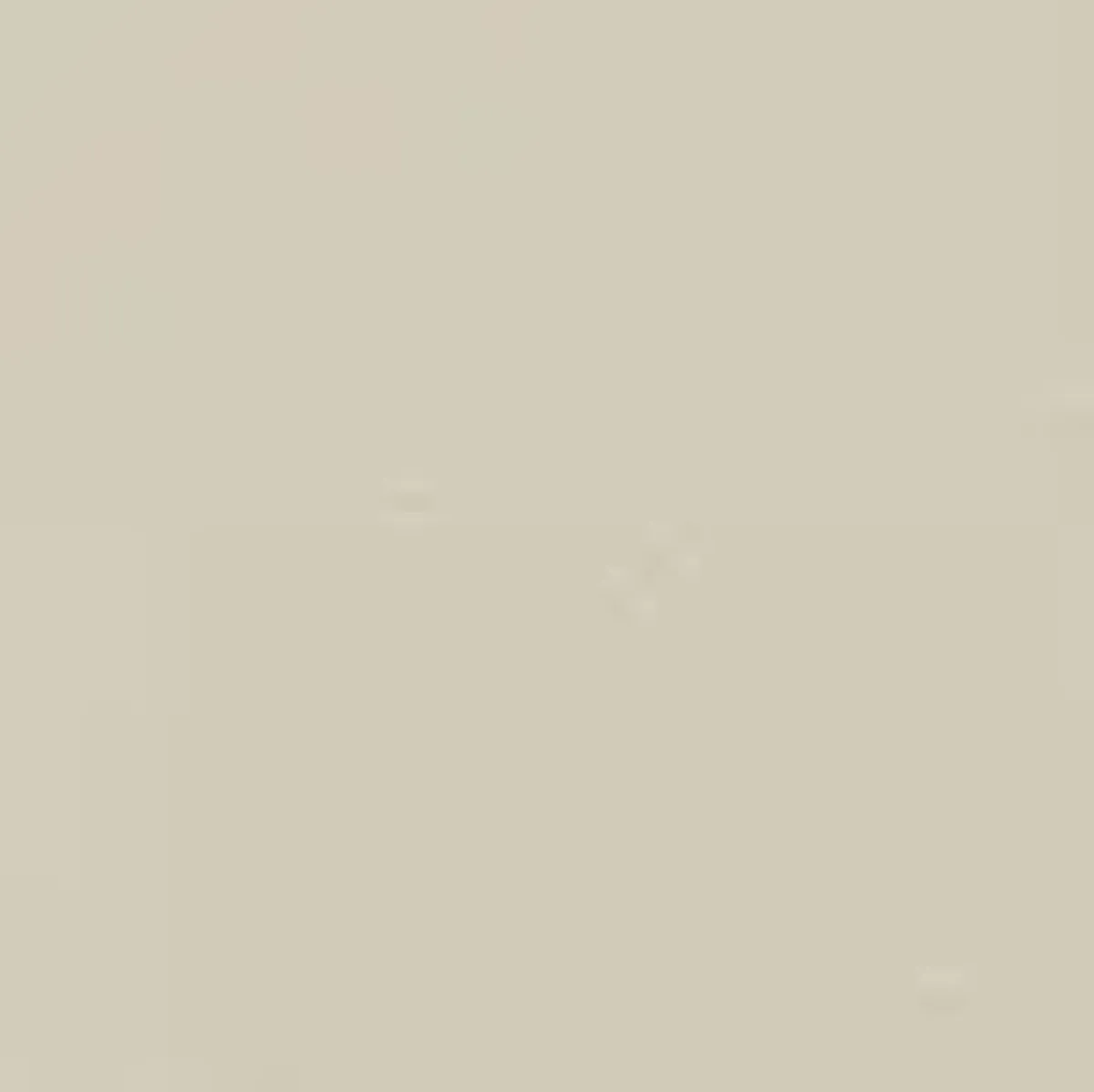 Nicoletti Corona Leather Swivel Chair