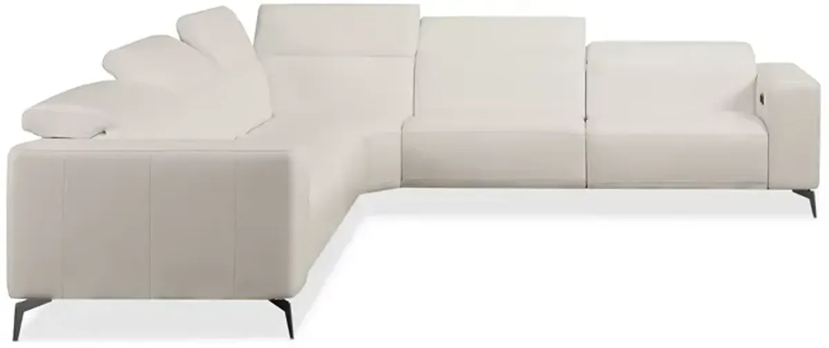 Chateau x'Ax Nacosto Motion Leather Sectional Sofa