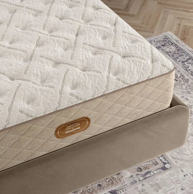 Harmonia Bellari Plush Twin XL Mattress Set