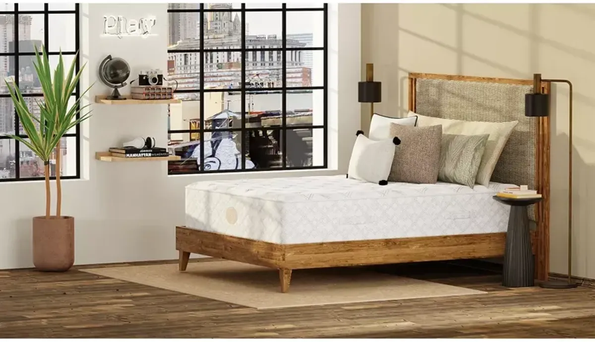 Shifman Metropolitan Parker Extra Firm Twin Mattress