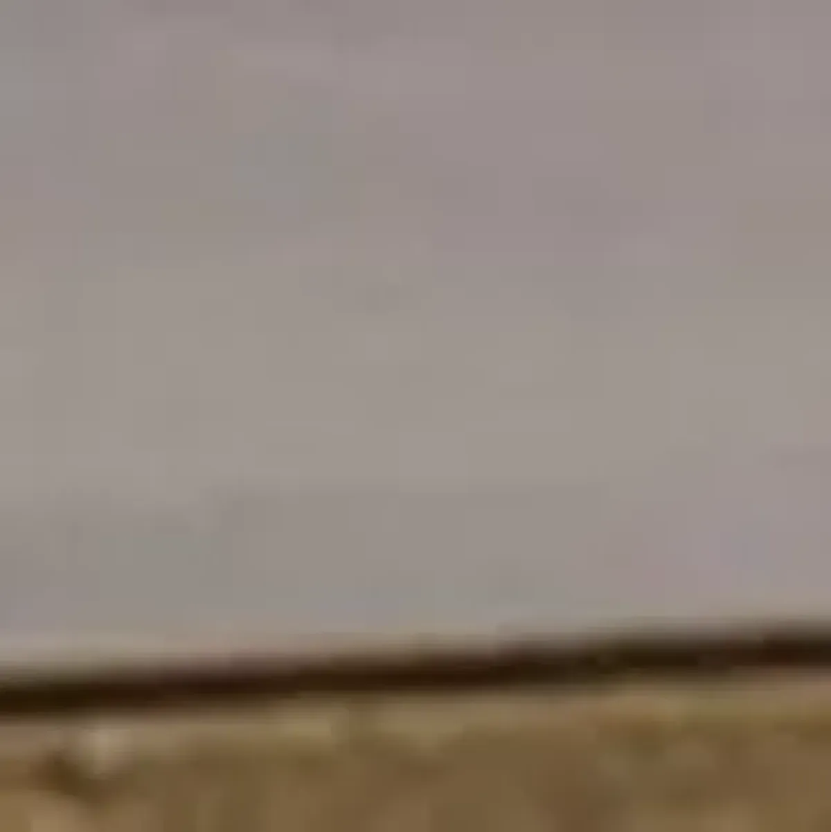 SUNPAN Eiffel Bookcase, Tall