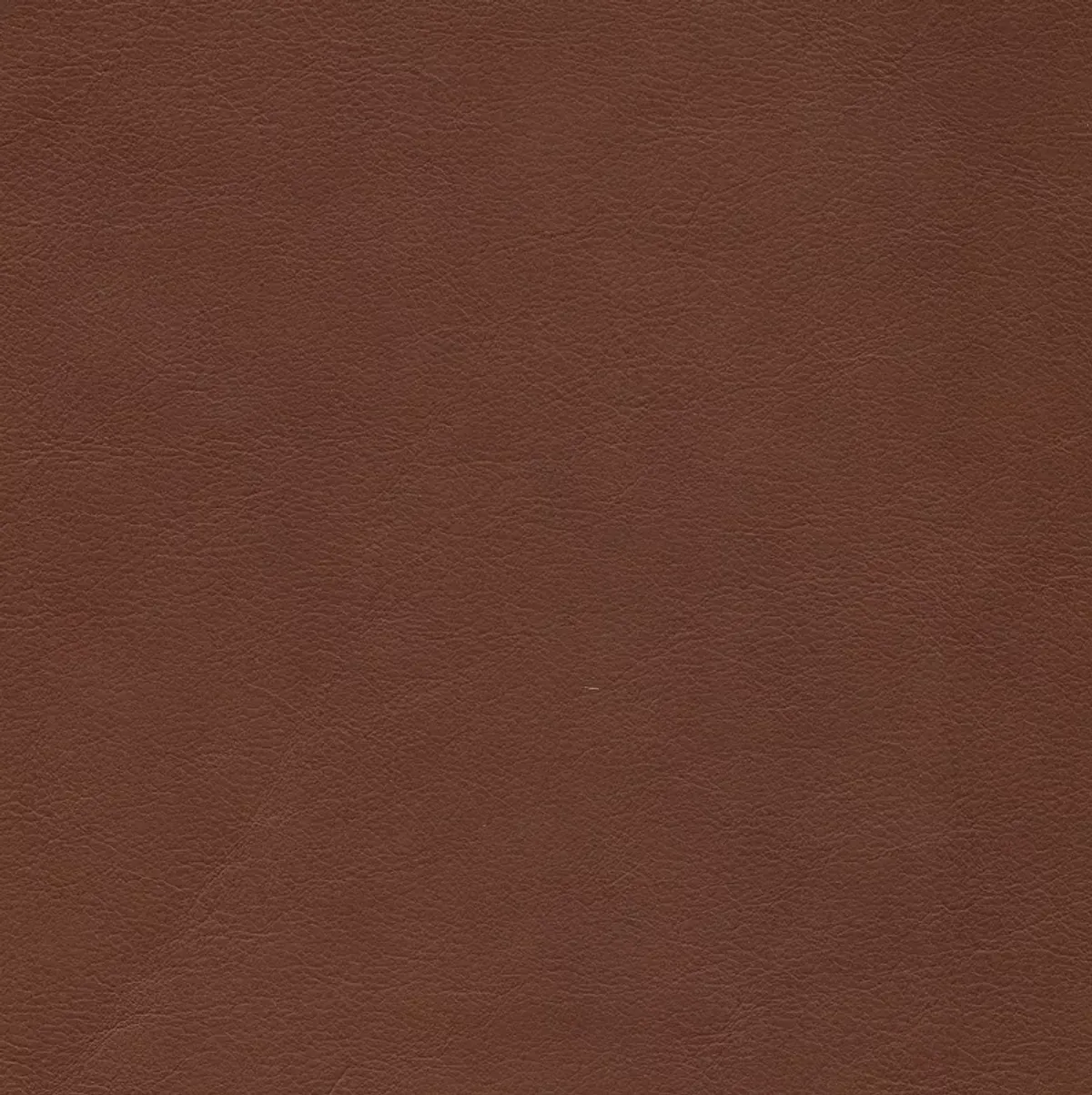 Chateau d'Ax Giada 5 Piece Leather Sectional