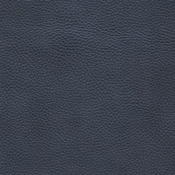 Chateau d'Ax Giada 5 Piece Leather Sectional