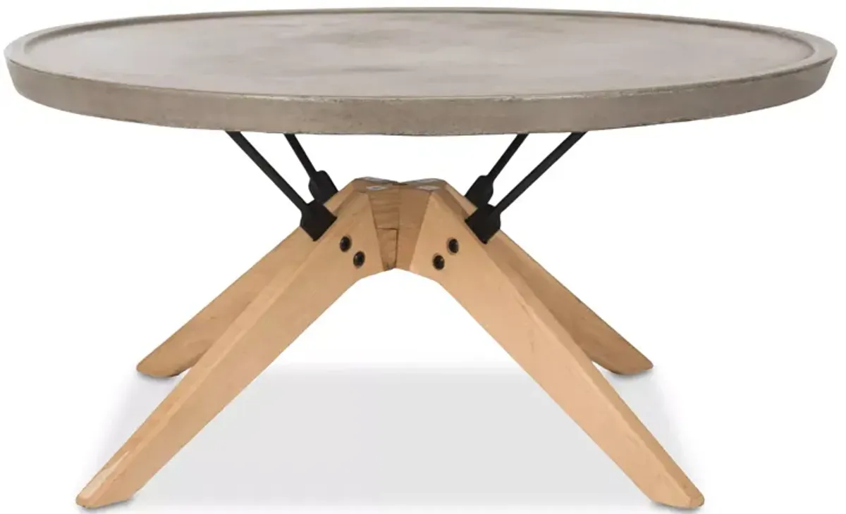 SAFAVIEH Bryson Indoor/Outdoor Coffee Table