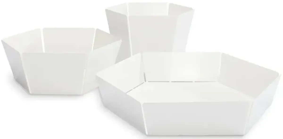 2D:3D Medium Bowl