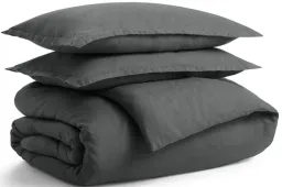Charcoal color