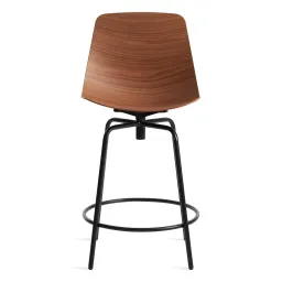 Walnut color