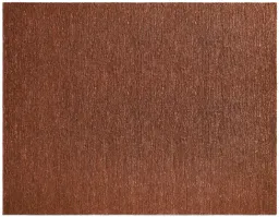 Terracotta color