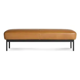 Canyon Leather color