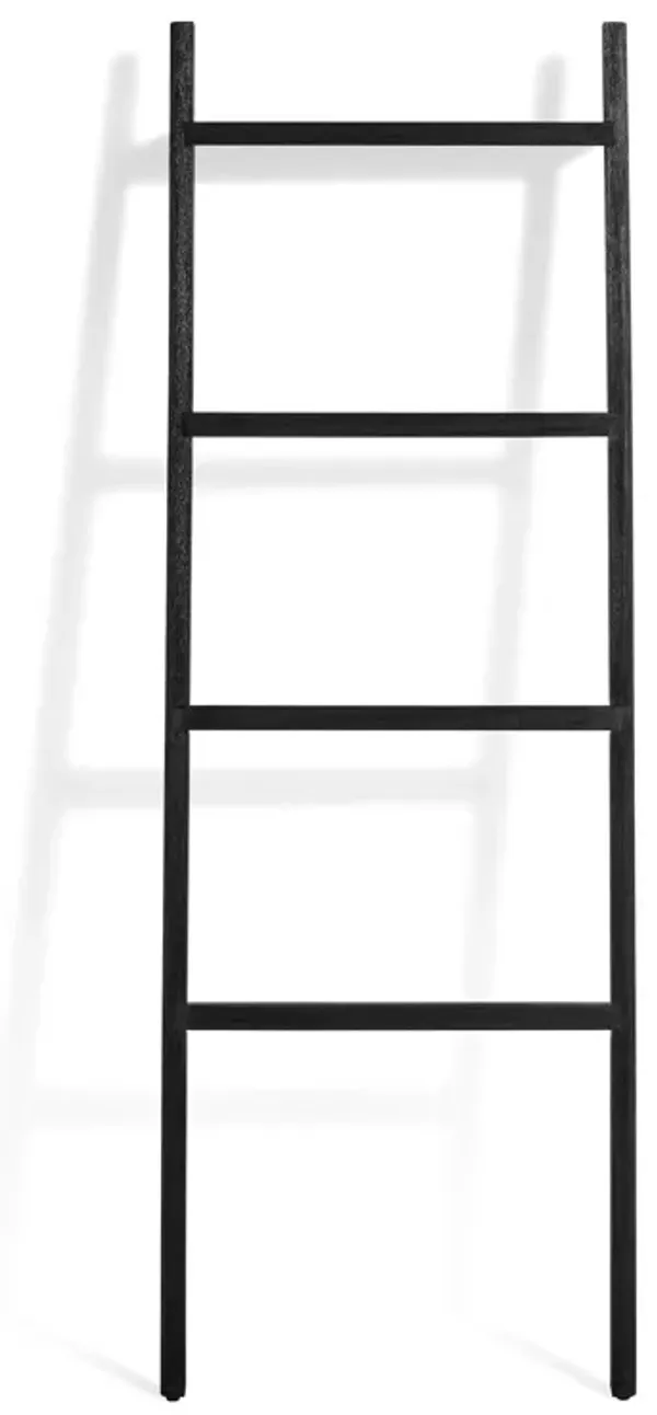 Woodsy Storage Ladder