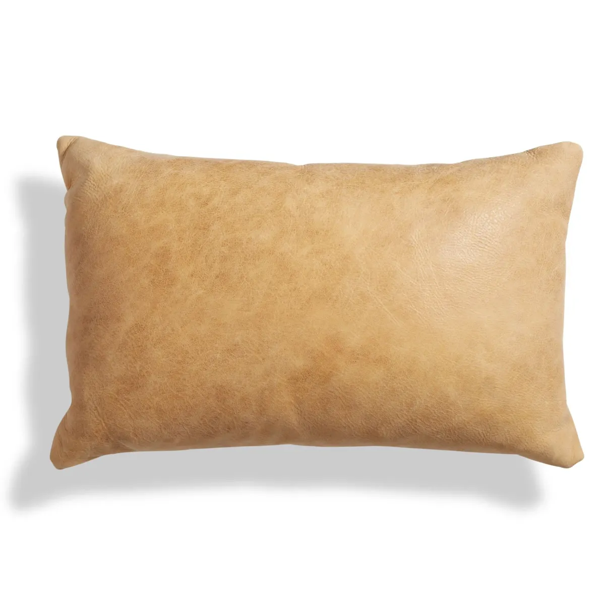 Signal 20" x 13" Lumbar Pillow