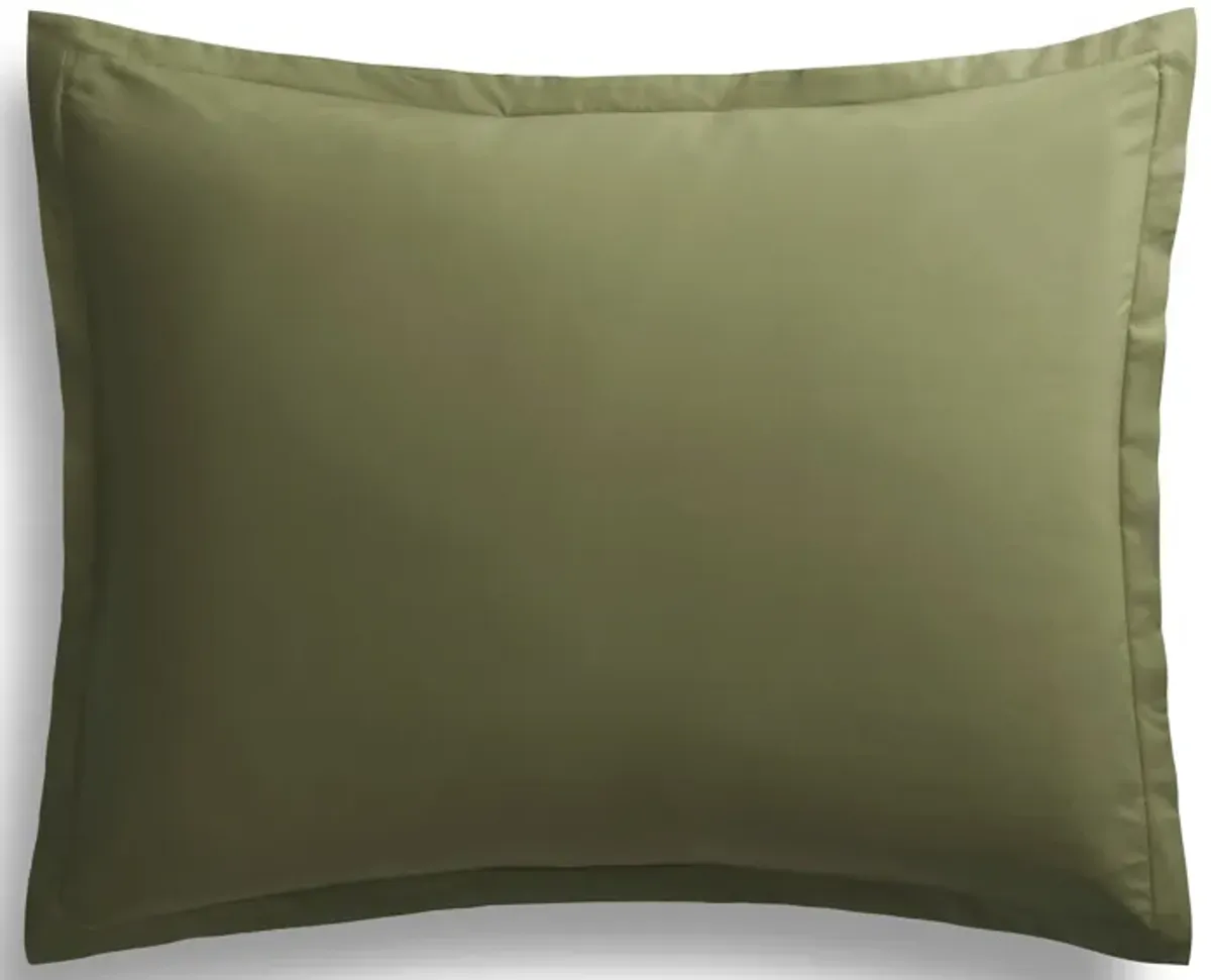 Blu Dot Percale Duvet Set