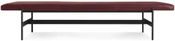 Oxblood Leather color