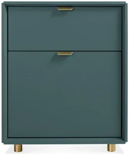 Navy Green color