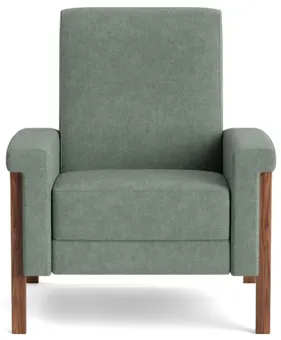 Robin Recliner Chair