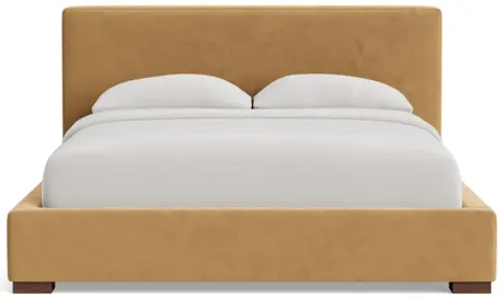 Catalina Platform Bed