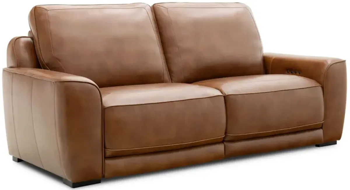 Blake Power Headrest Reclining Sofa