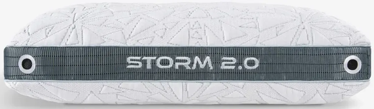 Storm 2.0 Pillow