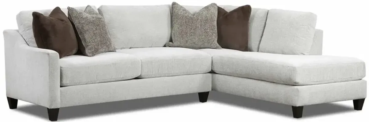 Bosco 2 Piece Sectional
