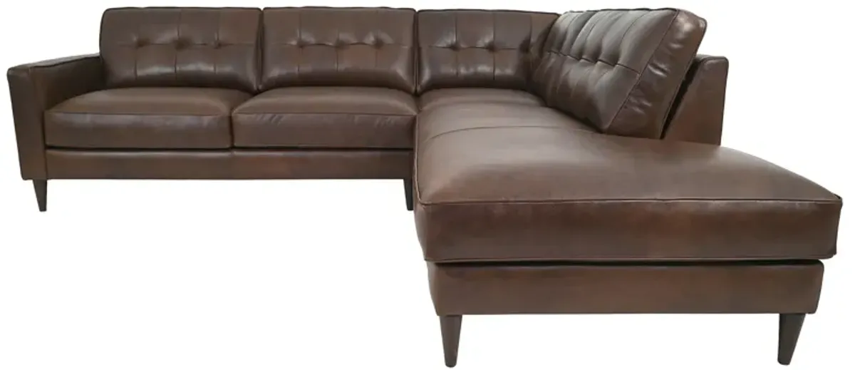 Utah Chestnut 2 Piece Sectional