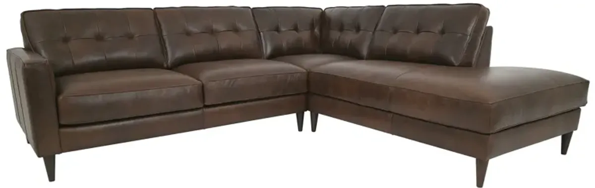 Utah Chestnut 2 Piece Sectional