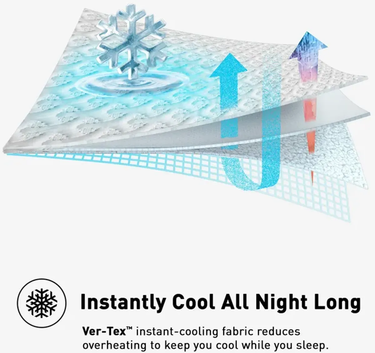 Ver-Tex Queen Mattress Protector