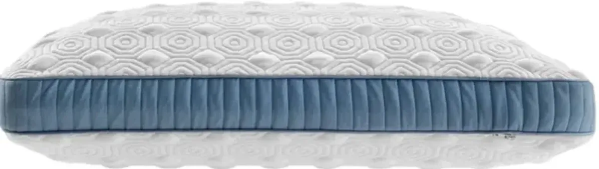 Stearns & Foster® Studio Latex Standard Bed Pillow