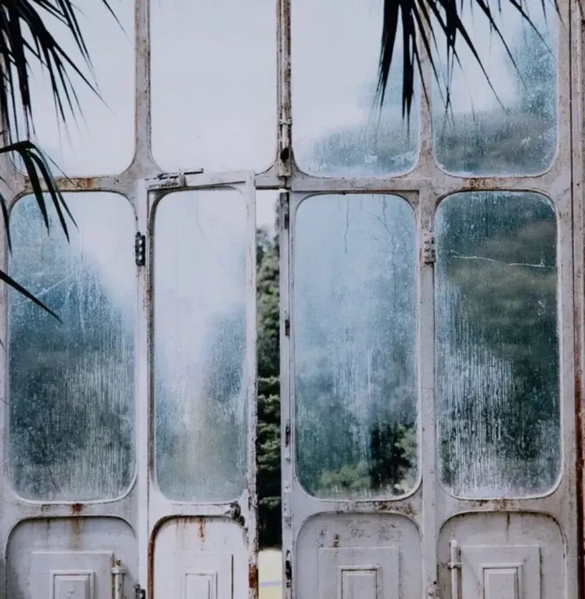 Four Hands Annie Spratt Greenhouse II Wall Art