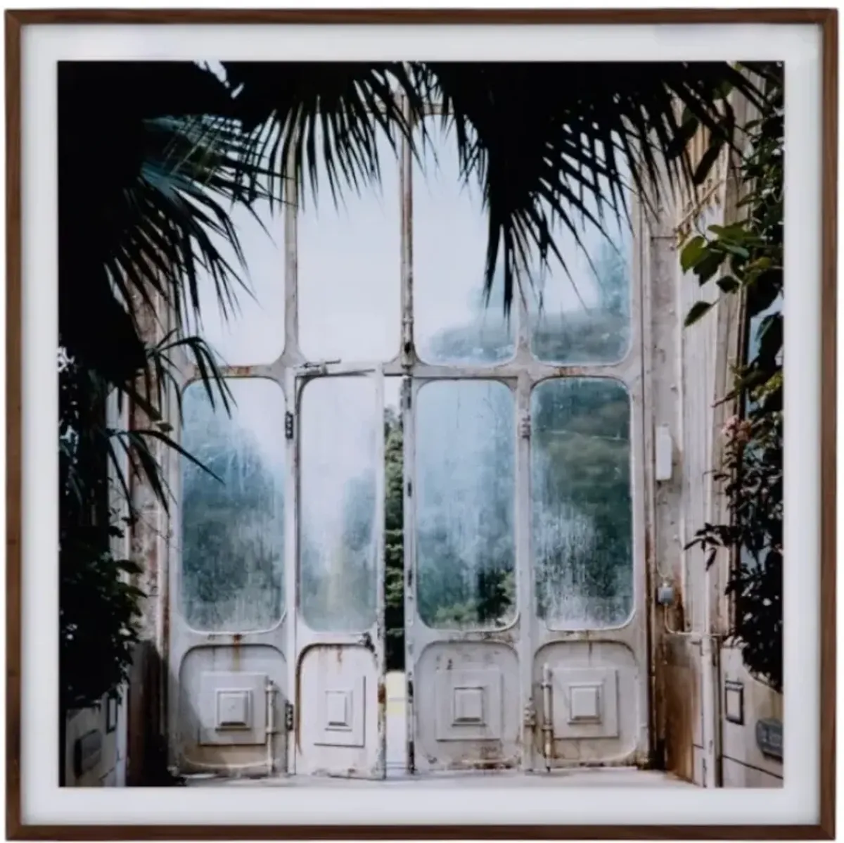Four Hands Annie Spratt Greenhouse II Wall Art