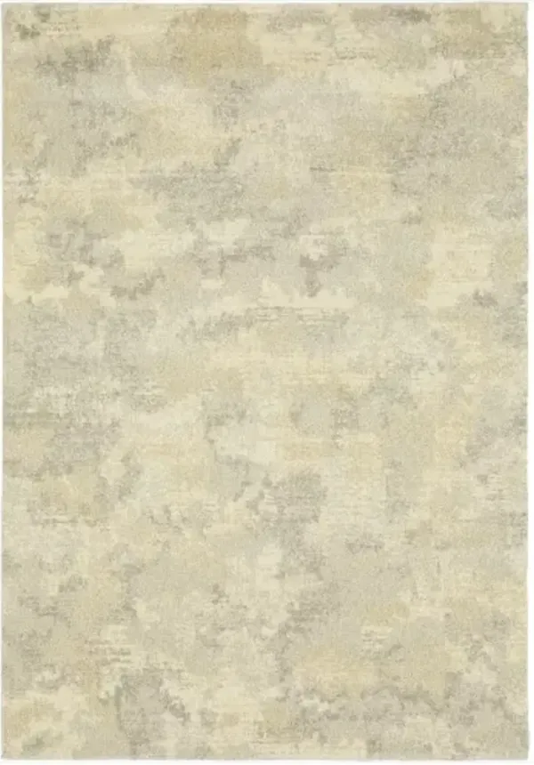 Oriental Weavers Astor 5'x8' Style 4 Area Rug