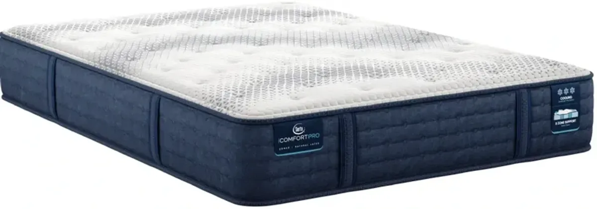 Serta® iCOMFORTPRO Ambrose 13" Latex Plush Tight Top King Mattress