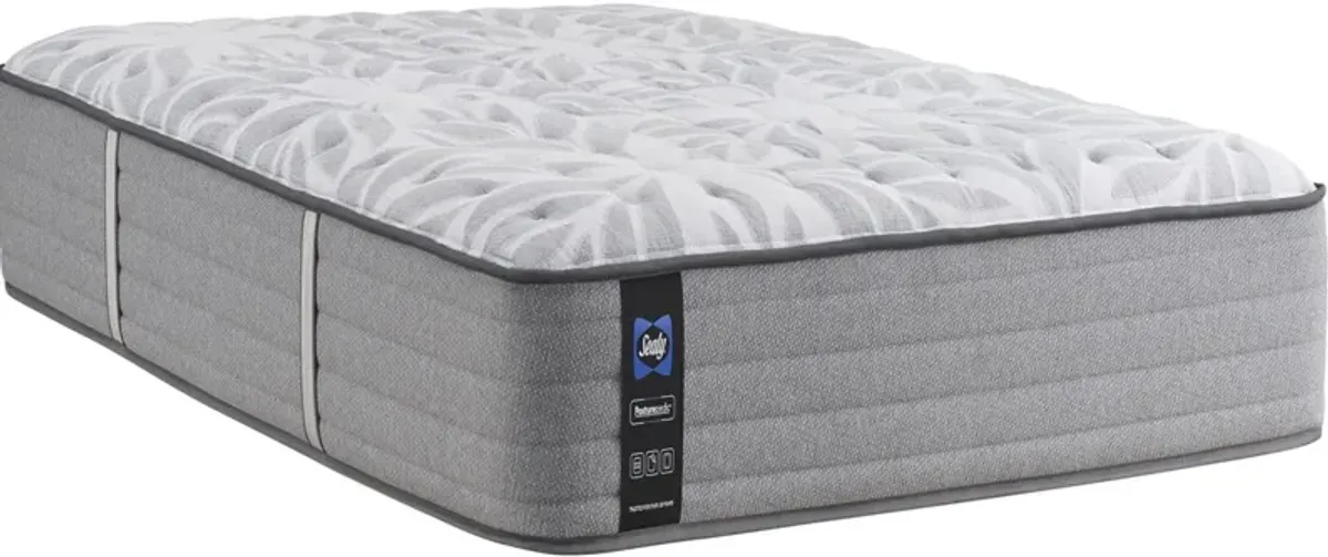 Sealy® Posturepedic® Silver Pine 11" Innerspring Extra Firm Tight Top California King Mattress