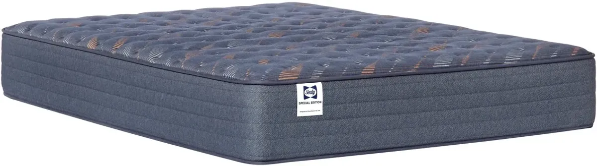Sealy® Special Edition Warner Wrapped Coil 12" Firm Tight Top Twin Mattress