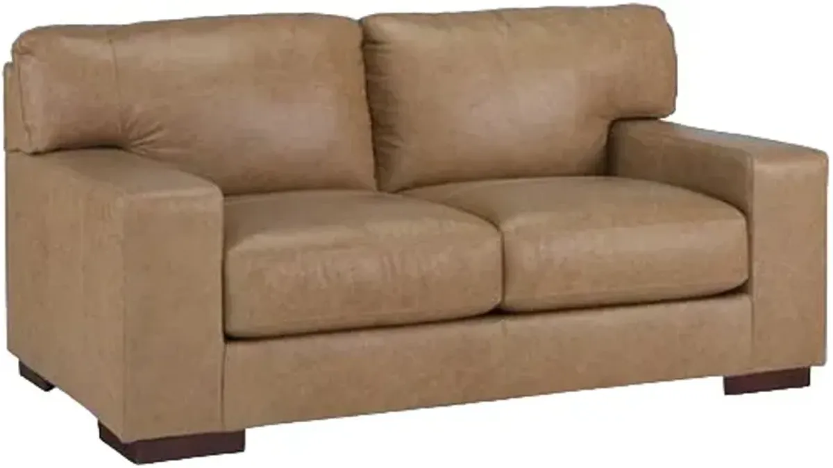 Signature Design by Ashley® Lombardia Tumbleweed Loveseat