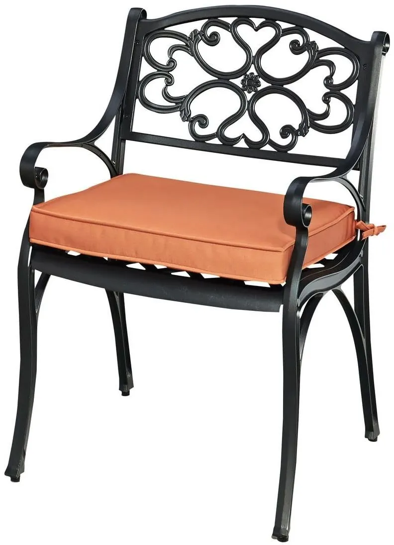 homestyles® Sanibel 2-Piece Black Outdoor Chairs with Cushions