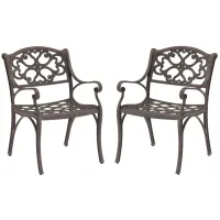 homestyles® Sanibel 2-Piece Brown Outdoor Chair