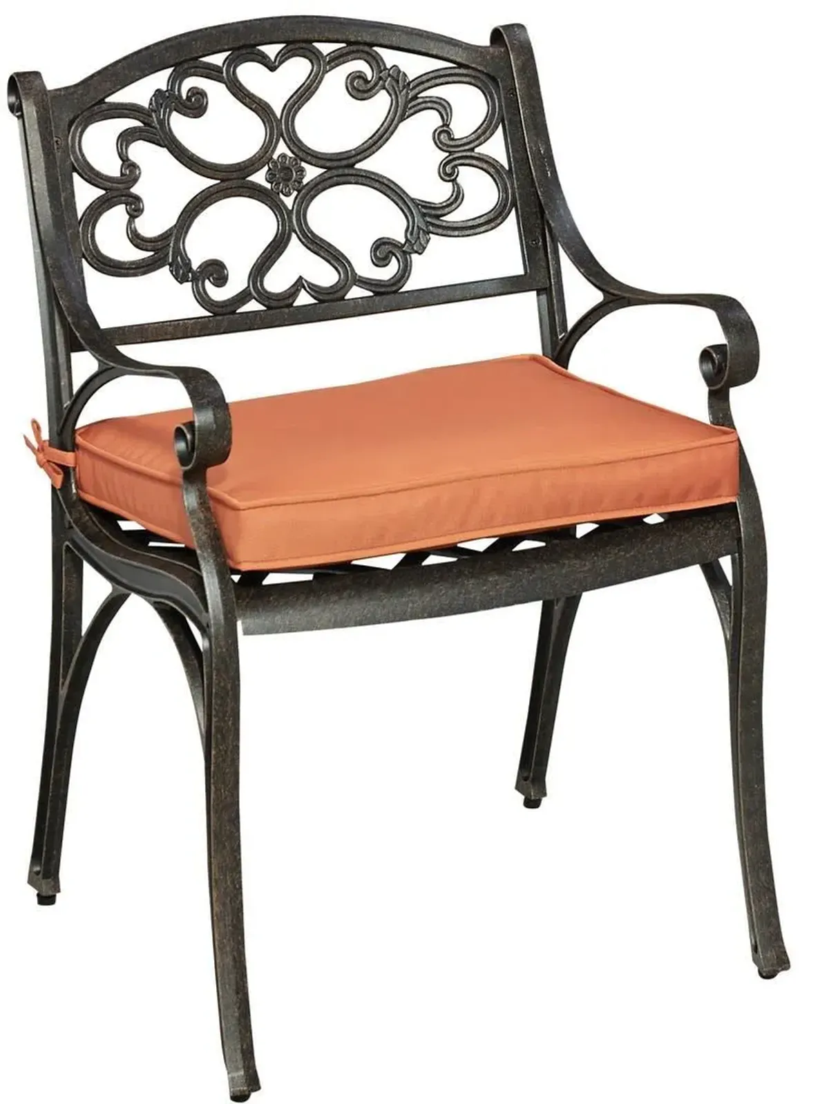 homestyles® Sanibel 2-Piece Bronze Outdoor Chairs with Cushions